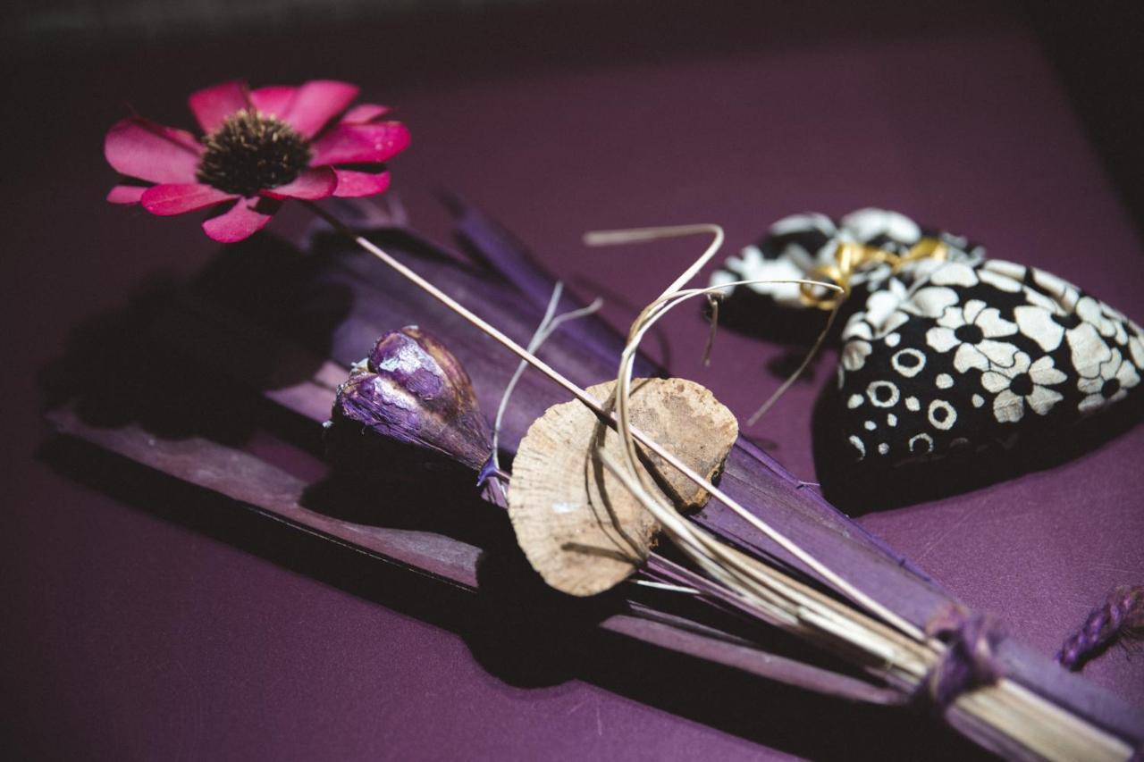 Accogliente Casa Livorno Bed & Breakfast エクステリア 写真